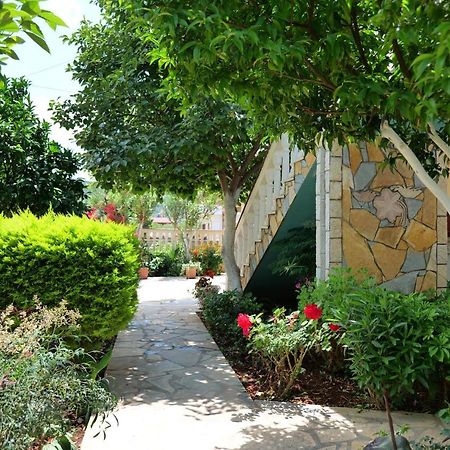 Garden Villa Dhesara 卡萨米尔 外观 照片