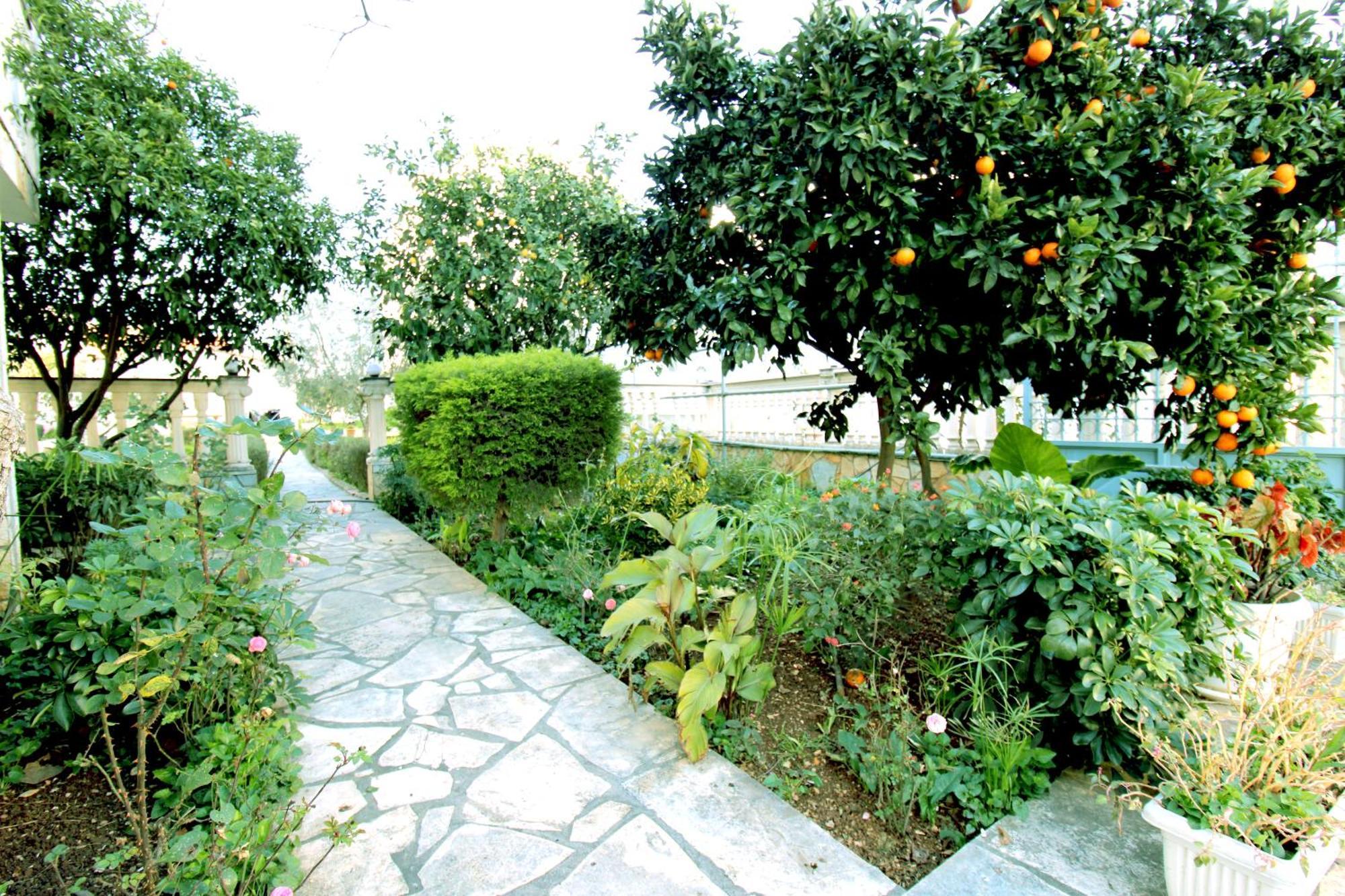 Garden Villa Dhesara 卡萨米尔 外观 照片